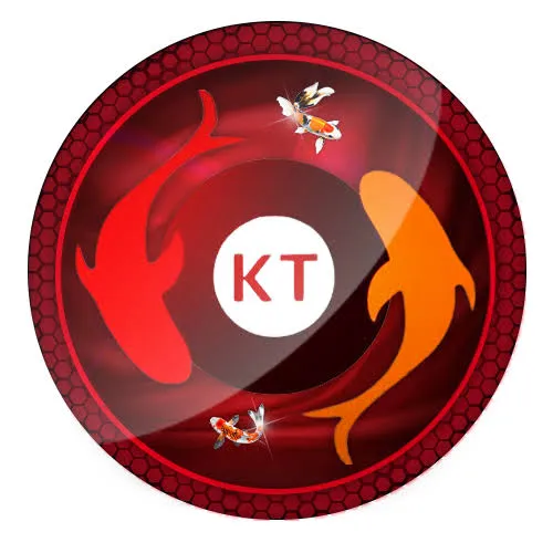 koitoto APK Racing